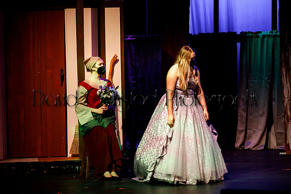 DeForest Area High School - Cinderella 2021