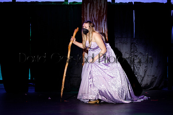 DeForest Area High School - Cinderella 2021