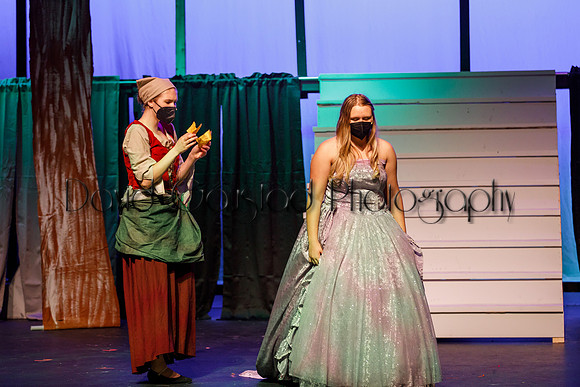 DeForest Area High School - Cinderella 2021