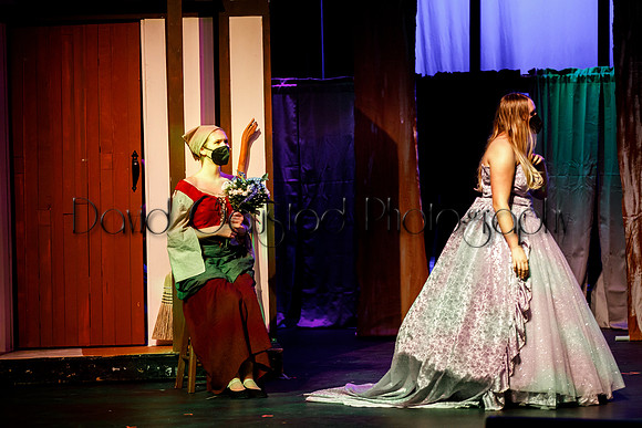 DeForest Area High School - Cinderella 2021