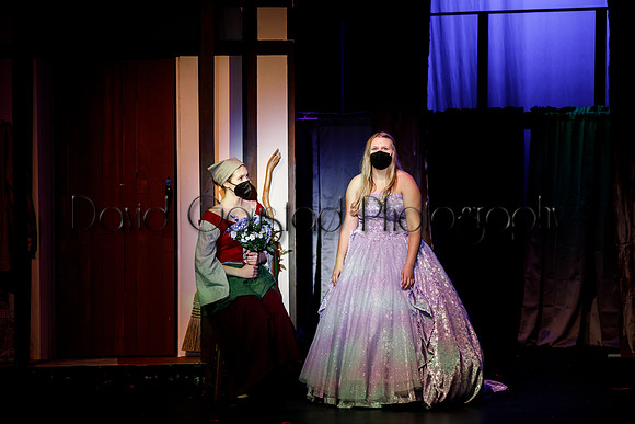 DeForest Area High School - Cinderella 2021