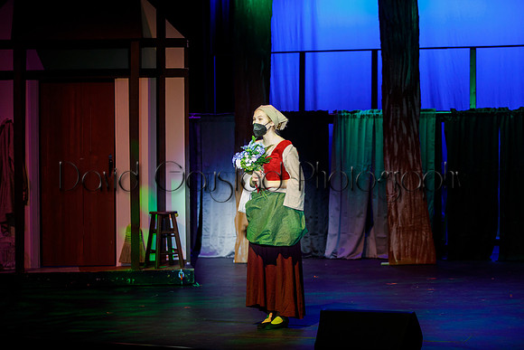 DeForest Area High School - Cinderella 2021