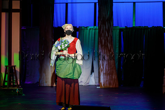 DeForest Area High School - Cinderella 2021