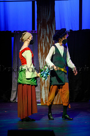 DeForest Area High School - Cinderella 2021