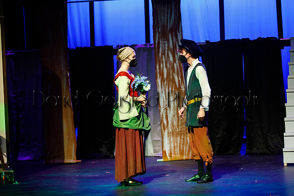 DeForest Area High School - Cinderella 2021