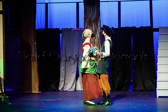 DeForest Area High School - Cinderella 2021