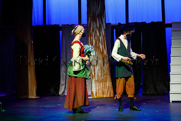 DeForest Area High School - Cinderella 2021