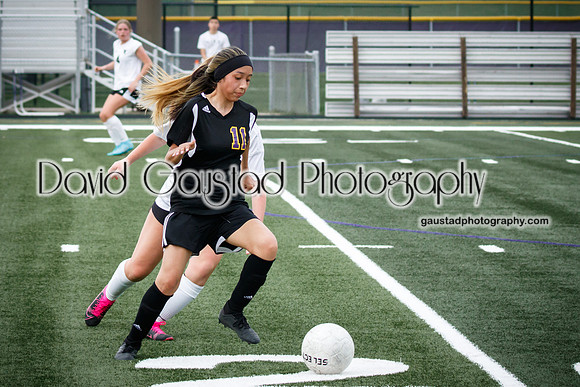 DeForest Area High School Girl's Soccer vs Sauk Prairie