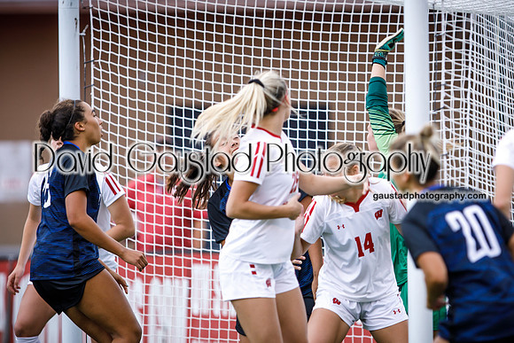 Wisconsin Badgers Women's Soccer vs DePaul