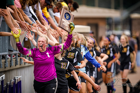 DeForest High School Soccer Team
