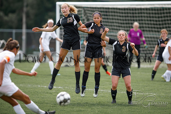 DeForest High School Soccer Team