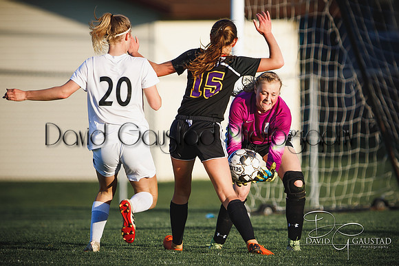 DeForest High School Soccer Team