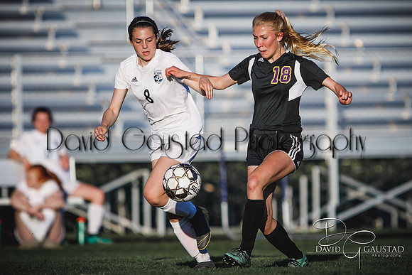 DeForest High School Soccer Team