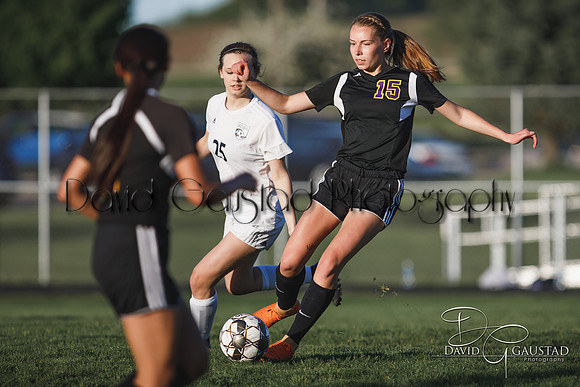 DeForest High School Soccer Team
