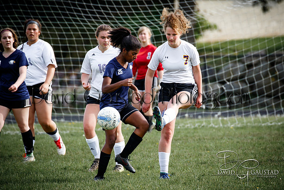 DeForest High School Soccer Team