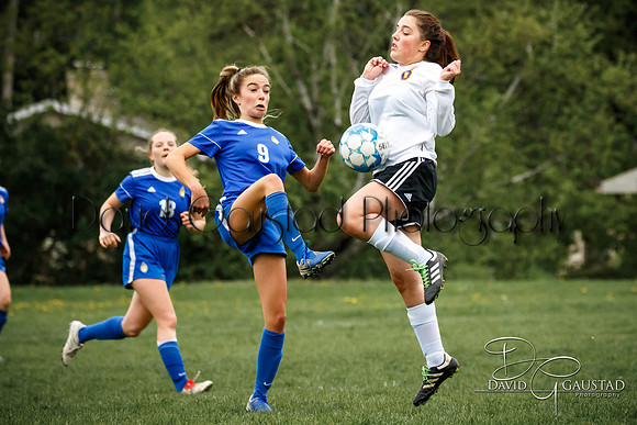 DeForest High School Soccer Team