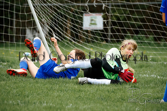 DeForest High School Soccer Team