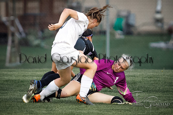 DeForest High School Soccer Team
