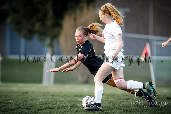 DeForest High School Soccer Team