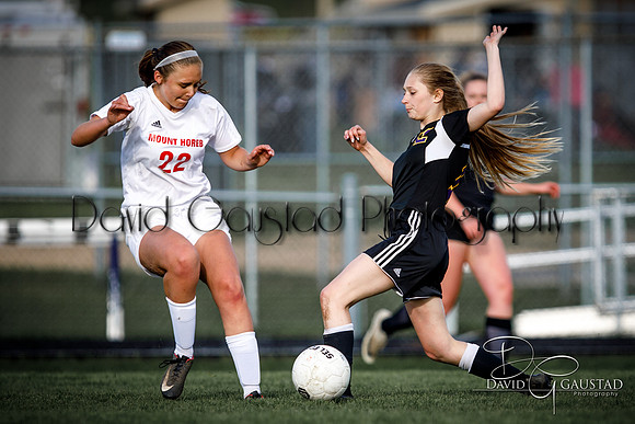 DeForest High School Soccer Team