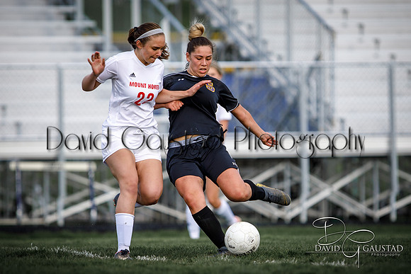 DeForest High School Soccer Team