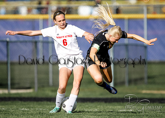 DeForest High School Soccer Team