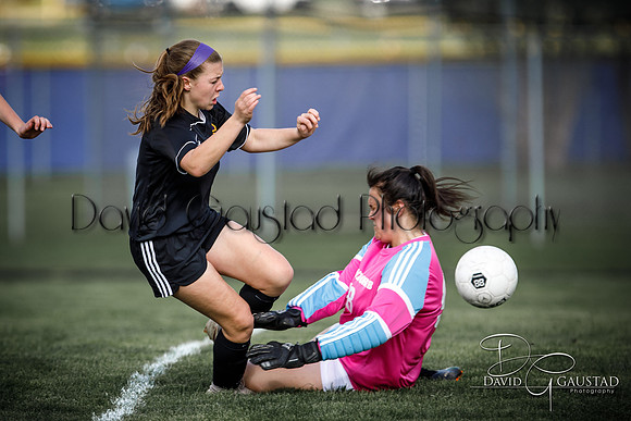 DeForest High School Soccer Team