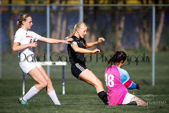 DeForest High School Soccer Team
