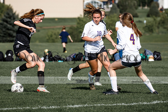 DeForest High School Soccer Team