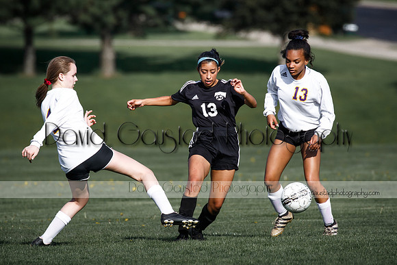 DeForest High School Soccer Team