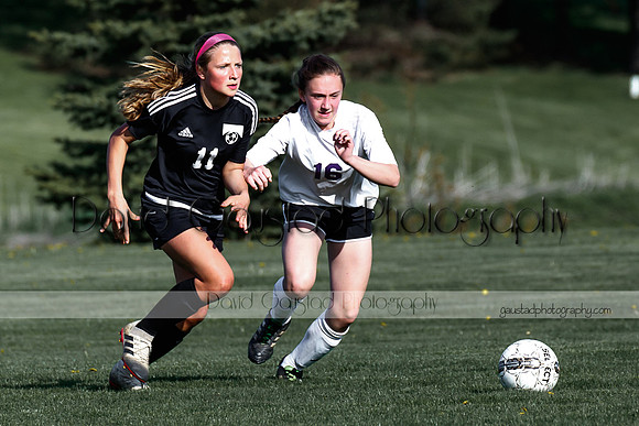 DeForest High School Soccer Team