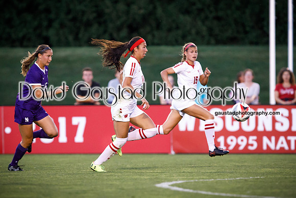 Victoria Pickett Wisconsin Badgers Women's  Soccer