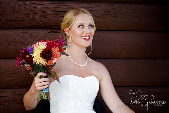 Wedding Photographer DeForest Windsor Sun Prairie