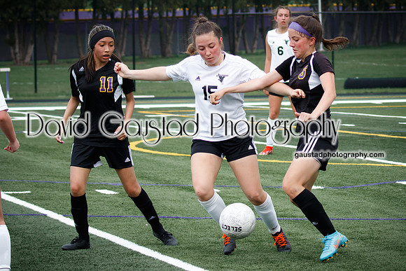 DeForest Area High School Girl's Soccer vs Sauk Prairie