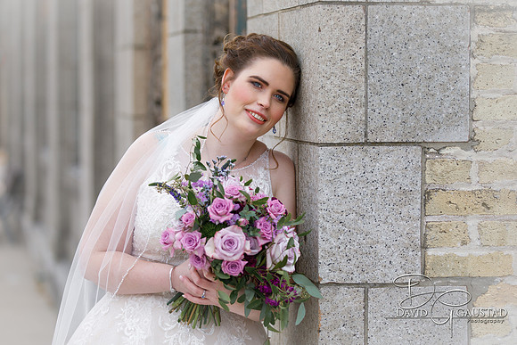 Deerfield, Cottage Grove DeForest Sun Prairie Middleton Verona Madison Wedding Photographer