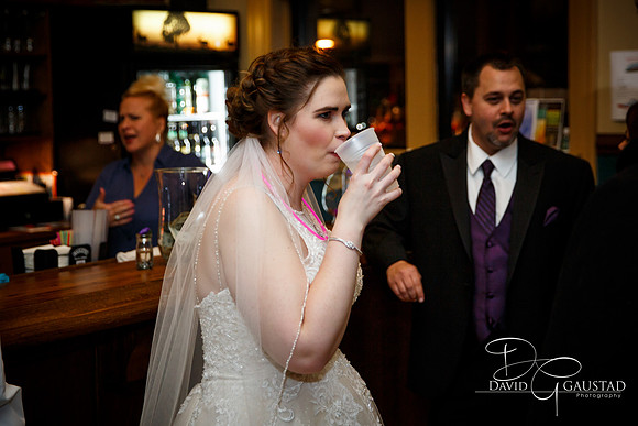 Lodi Wisconsin Wedding Photographer
