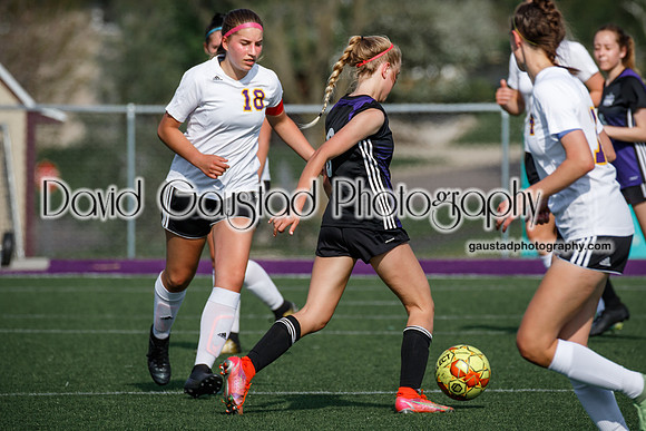 DeForest Girl's Soccer vs Waunakee