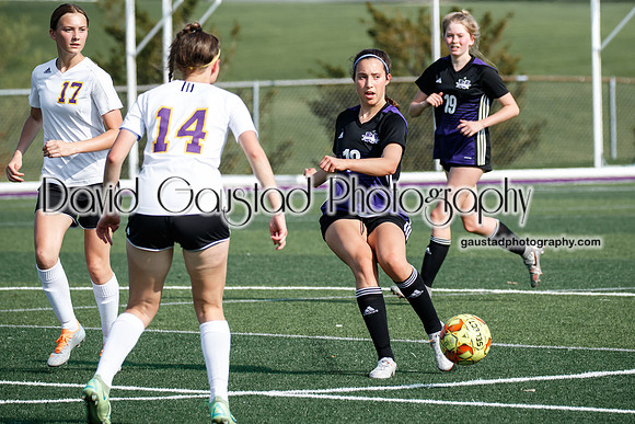DeForest Girl's Soccer vs Waunakee