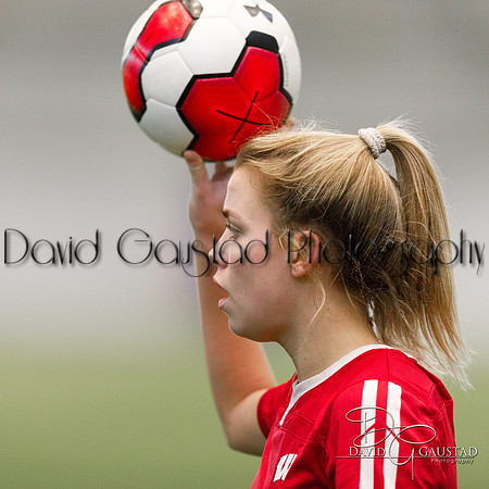 Wisconsin Women's Soccer Team vs Illinois Fighting Illini