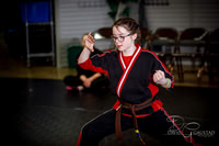 Midwest Professional Karate (MPK) 2018