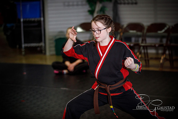 Midwest Professional Karate (MPK) 2018