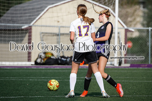 DeForest Girl's Soccer vs Waunakee