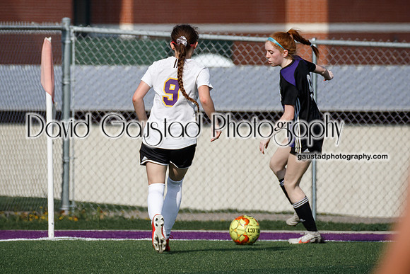 DeForest Girl's Soccer vs Waunakee