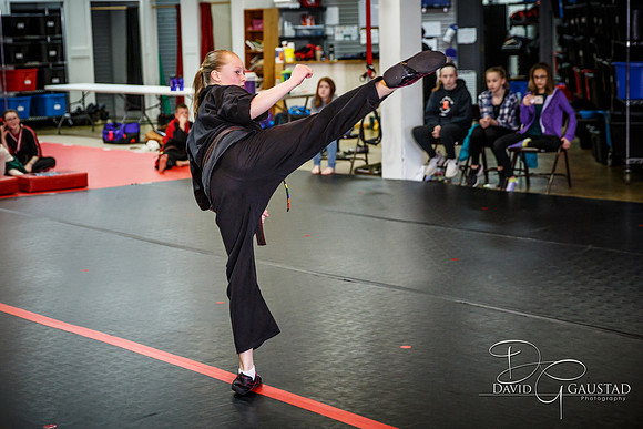 Midwest Professional Karate (MPK) 2018