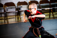 Midwest Professional Karate (MPK) 2018