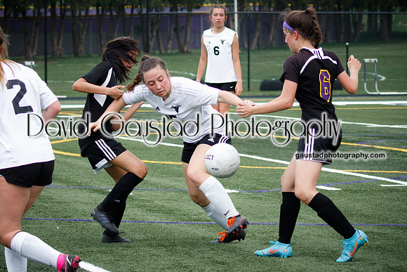 DeForest Area High School Girl's Soccer vs Sauk Prairie