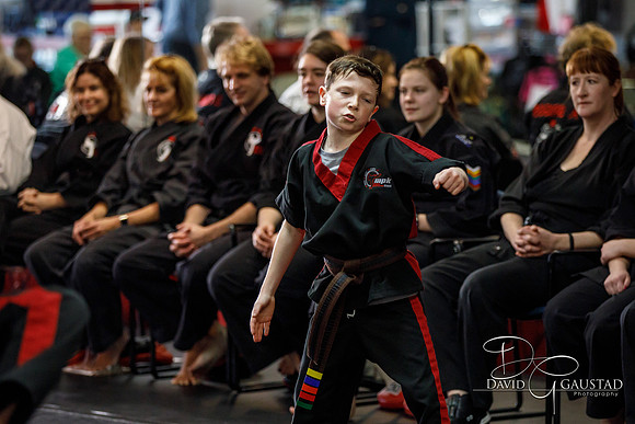 Midwest Professional Karate (MPK) 2018