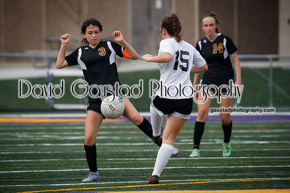 DeForest Area High School Girl's Soccer vs Sauk Prairie