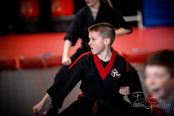 Midwest Professional Karate (MPK) 2018