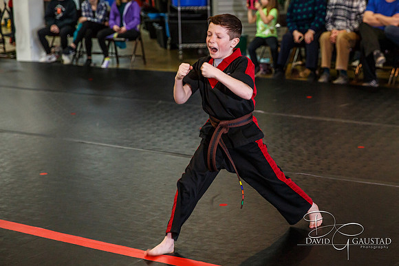 Midwest Professional Karate (MPK) 2018